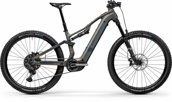 Centurion Numinis R2000 Kristallgrau 29" 800 Wh Diamant