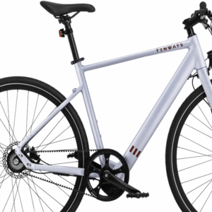 Tenways CGO600 (252 Wh), Singlespeed, Herrenfahrrad, Diamant, Modell 2022/2023, 28 Zoll 54 cm Light Grey