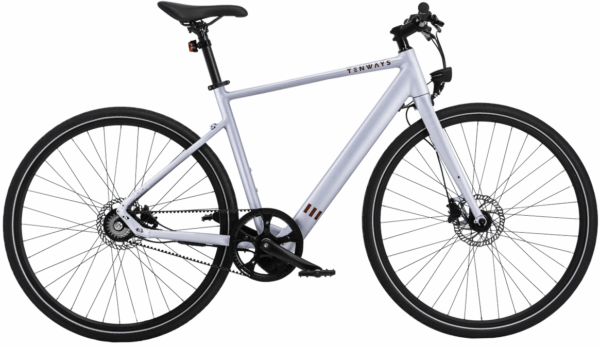 Tenways CGO600 (252 Wh), Singlespeed, Herrenfahrrad, Diamant, Modell 2022/2023, 28 Zoll 54 cm Light Grey