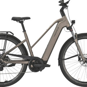 Pegasus PREMIO EVO 10 Lite (800 Wh), 10 Gang Kettenschaltung, Damenfahrrad, Trapez, Modell 2025, 28 Zoll 50 cm monza grey matte