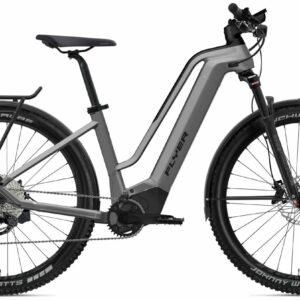 FLYER Goroc2 2.10 - 29 Zoll 750Wh 10K Wave - Cast Silver Black Gloss