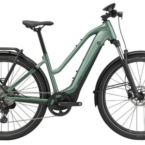 Giant Explore E+ 1 STA Misty Forest/Black Satin-Matt 28" 625 Wh Trapez