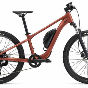 Giant Talon E+ JR 24 terracotta 24" 250 Wh Diamant
