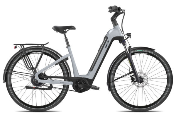 BESV CT-B 1.1 LS metallic steel 28" 625 Wh Wave