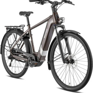 BESV TR 1.3 metallic umbra 28" 630 Wh Diamant