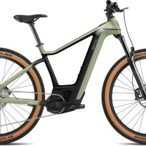 BESV TRX-B 1.1 jade green 29" 750 Wh Diamant