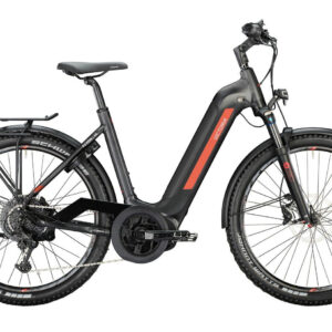 Victoria AVYON 10 Anthracite Grey Matt 27,5" 750 Wh Wave