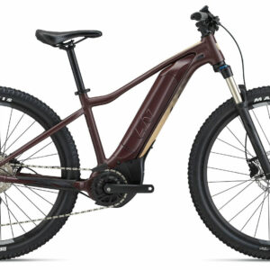 Liv Tempt E+ 1 | V1 figuier 29" 500 Wh Diamant
