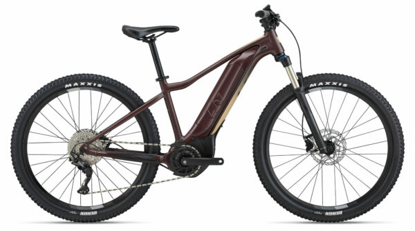 Liv Tempt E+ 1 | V1 figuier 29" 500 Wh Diamant