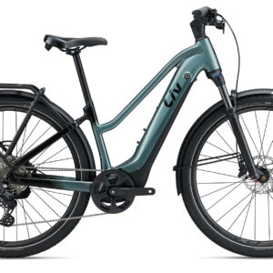 Liv Amiti-E+ Pro Silver Pine/Black 28" 800 Wh Trapez