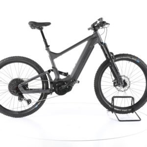 Riese & Müller Delite mountain touring 2022