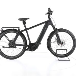 Riese & Müller Swing vario 2023
