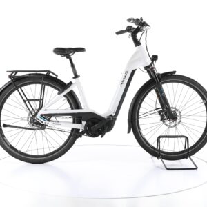 Pegasus Premio EVO 5F Lite Belt 2022