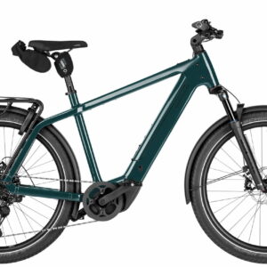 Riese & Müller Charger5 touring Testrad - 27,5 Zoll 800Wh 11K Diamant - pine
