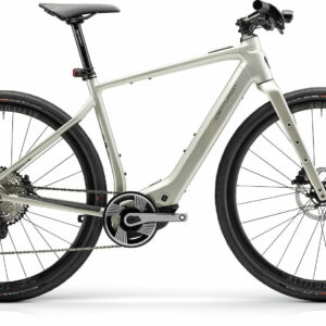 Centurion Speeddrive R2000 D Vintage Grau 28" 400 Wh Diamant