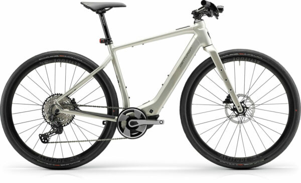 Centurion Speeddrive R2000 D Vintage Grau 28" 400 Wh Diamant