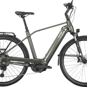 KETTLER Alu-Rad QUADRIGA COMP CX11 LG (750 Wh), 11 Gang Kettenschaltung, Erwachsenenfahrrad, Diamant, Modell 2024, 28 Zoll 58 cm classic green shiny