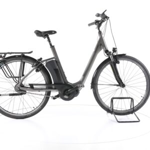Raleigh Corby 8 2021