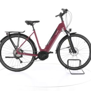 Raleigh Kent 9 2022