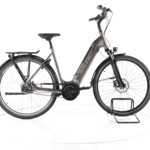 Raleigh Bristol Premium 2022