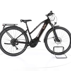 Liv Amiti E+ 2 2022