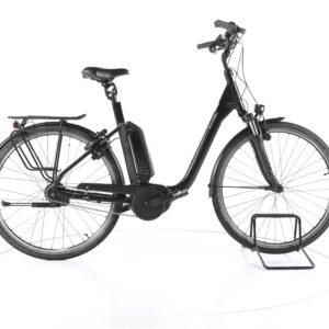 Raleigh Kingston 8 2019