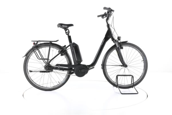 Raleigh Kingston 8 2019