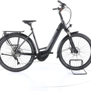 Pegasus Strong EVO 10 2022