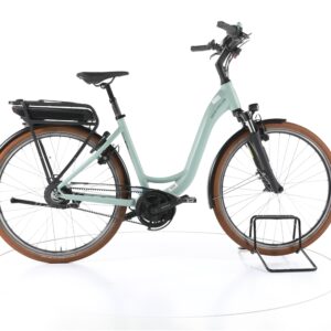Riese & Müller Swing vario 2022