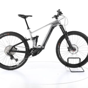 Bergamont E-Trailster Expert 2021