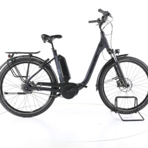 Raleigh KINGSTON 8 2022