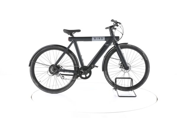 Bird Urban 2021