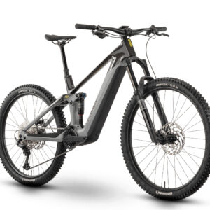 Raymon Tarok Grey Sparkle / Carbon / Citron 29"/27,5" 756 Wh Diamant