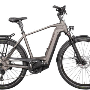 Hercules Futura Max I-12 silber-matt 28" 750 Wh Diamant