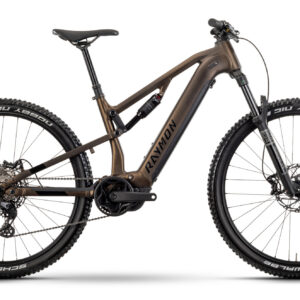 Raymon Trailray 120 Pro Tenmoku / Black / Green 29" 800 Wh Diamant