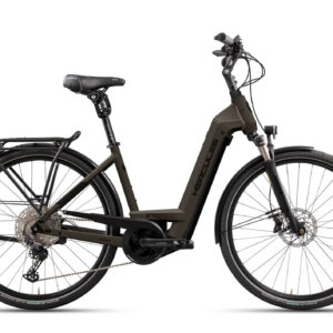 Hercules Futura Max I-12 silber-matt 28" 750 Wh Wave