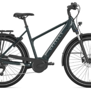 Gazelle Medeo T10 HMB pine green gloss 27,5" 625 Wh Trapez