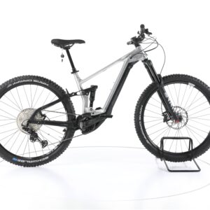 Bergamont E-Trailster Expert 2020