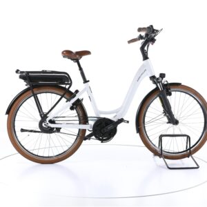 Riese & Müller Swing vario 2022