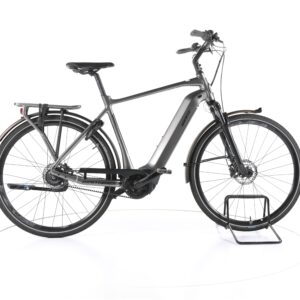 Giant DailyTour E+ 1 BD 2020