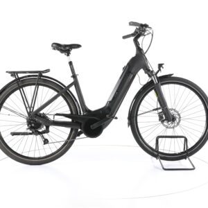 Winora Tria 9 2022