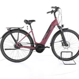 Raleigh Bristol 5 2022