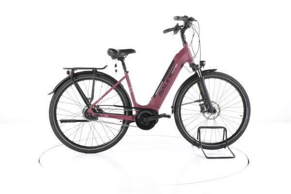 Raleigh Bristol 5 2022