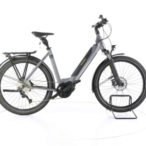 Winora Sinus iX10 2022