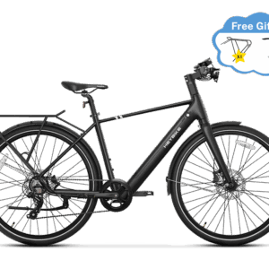 Heybike EC 1 - Schwarz / L - for 165 - 190 cm / Standard
