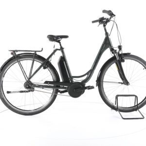 Raleigh Jersey 7 2022