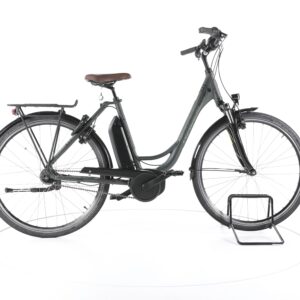 Raleigh Cardiff LB Plus 2022