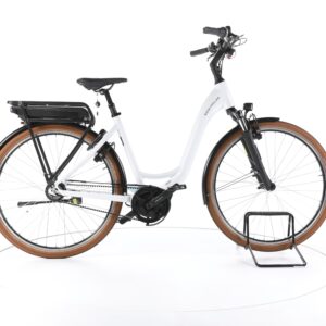 Riese & Müller Swing rücktritt 2022