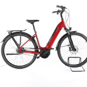 Raleigh Bristol 8  RT 2022