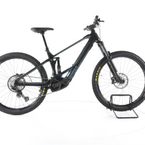 Orbea Wild H30 2024
